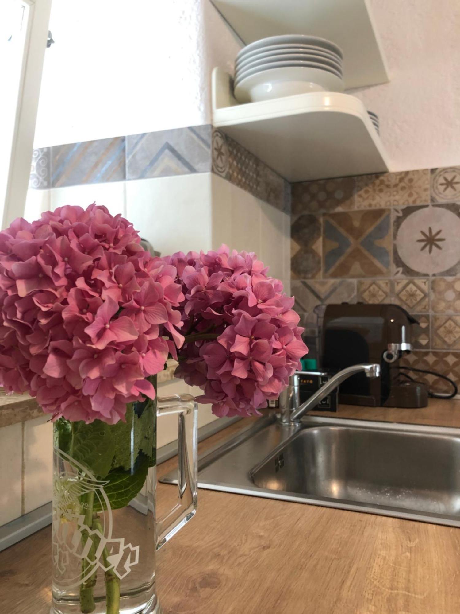 Apartment Susanj モスチャニッセ エクステリア 写真